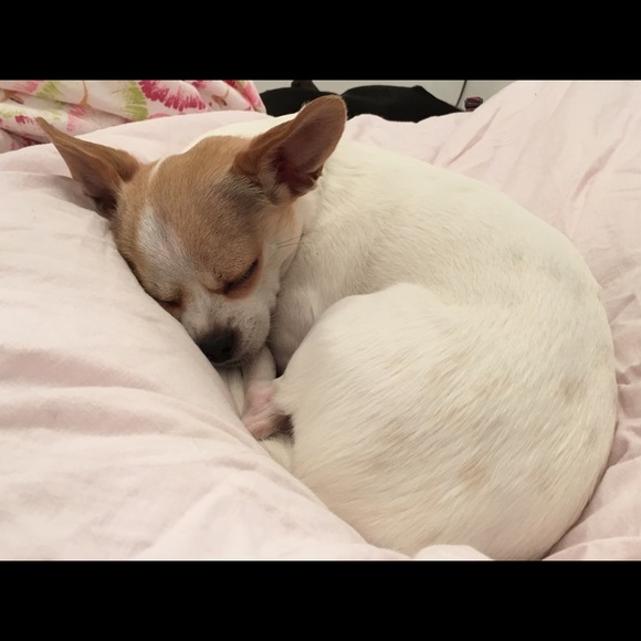 Meet your Posher, Karen - Picture 1 of 1